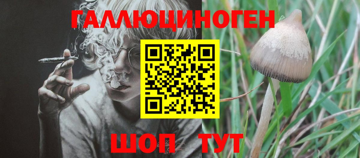 Канаш  Псилоцибиновые грибы мухоморы  Галлюциногенные грибы Cubensis  Вход с VPN 